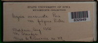 Image Associated With the Occurence